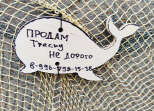 Кольский, Вместе с северным ветром: в Териберку с детьми