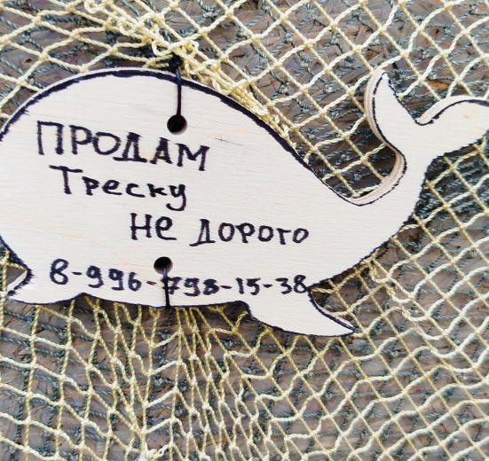 Вместе с северным ветром: в Териберку с детьми