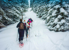 Северо-Запад, Однодневная прогулка на снегоступах