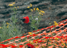 Грузия, Золотой маршрут Грузии: семейная экспедиция через горы к морю