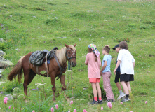 Кавказ, Магишо, дети, кони: по затерянным местам Кавказа