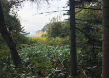 Дальний Восток, Здравствуйте, я ваша Тятя: поход по острову Кунашир + Сахалин