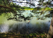 Подмосковье, К лесному водопаду Гремучий ручей