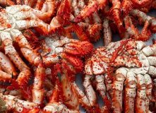 Сахалин, Сахалино-Камчатский вояж: по следам Крузенштерна (активный комфорт-тур)