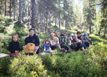 Карелия, У самого Полярного Круга: в нацпарк Паанаярви с детьми