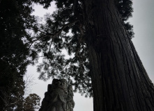 Япония, Японские Альпы. Горнолыжный + культурный тур (разведка)