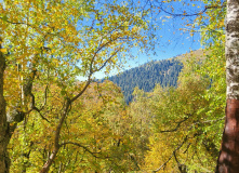 Кавказ, Палаточный лагерь в Санчаро (разведка)