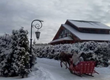 Подмосковье, Комфорт-тур «От Рождества до Купалы: встречаем праздники вместе»