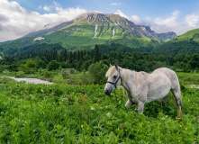 Кавказ, Горный лагерь на приюте Фишт