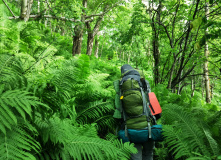 Камчатка, Камчатские каникулы: семейный поход в долину Налычево