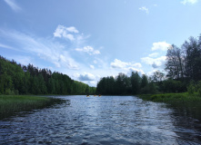 Северо-Запад, Сплав по реке Дымовка (с трансфером)