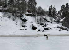 Северо-Запад, Таинственный Выборг: путешествие к гротам.