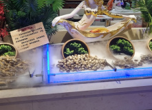 Китай, Китай и острова Владивостока (разведка)