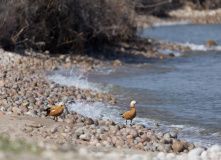 Фотографии 2018 года