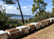 Турция, Карийская тропа: треккинг вдоль Эгейского моря (залив Гёкова)