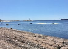 Северо-Запад, 7 дней по островам и шхерам Выборгского залива на морских каяках (с лодкой сопровождения)