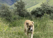 Грузия, Казбеги налегке: горные походы с базой в комфорте