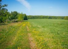 Подмосковье, Пеший поход «Зарайские просторы» (Подмосковье)