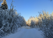 Карелия, Семейные автовыходные в Северном Приладожье
