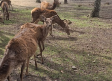 Беларусь, Страна замков: Беларусь на неделю