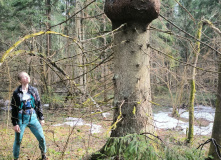 Подмосковье, Пеший поход "В глубь веков"