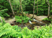 Турция, Фракийская тропа Турции: трекинговый маршрут с машиной сопровождения (разведка)