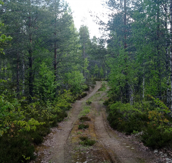 Карелия, Велопоход. Тайны Воттоваары