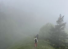Грузия, Поход по нацпарку Боржоми с проживанием в отелях