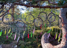 Северо-Запад, Семейный SUP лагерь: В гостях у сказки