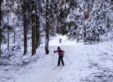 Мария Вербицкая