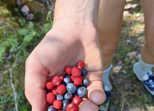 Карелия, Секреты ладожских шхер: Койонсаари и Лауватсаари с детьми