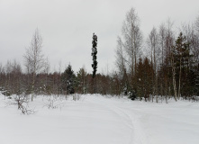 Подмосковье, Пеший поход «Легенды и тайны Вербилковского фарфора»