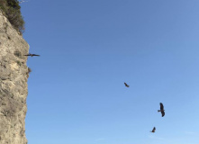 Япония, Каникулы в Японии для детей и взрослых