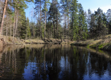 Подмосковье, Сплав по реке Поля – сквозь лес на байдарках