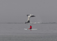 Дальний Восток, Шантарские острова: в поисках мечты (разведка)