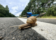 Беларусь, На перепутье затерянных дорог: велопоход по Беларуси