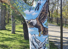 Кавказ, Пятигорский перевал (программа с размещением в старинном купеческом особняке XIX в.)