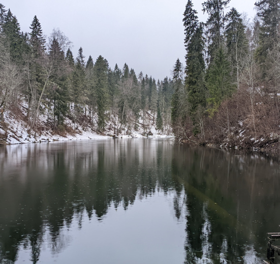 Кургальский полуостров