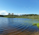 Подмосковье, Пеший поход (разведка) – 16 озер Тверской области