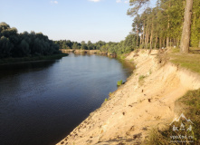 Подмосковье, Экопоход "Чистый лес" на Клязьме