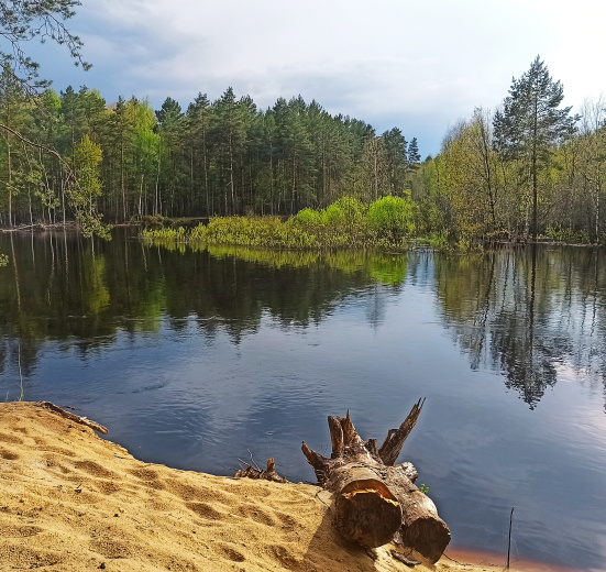Сплав по реке Пра: через самое сердце Мещеры