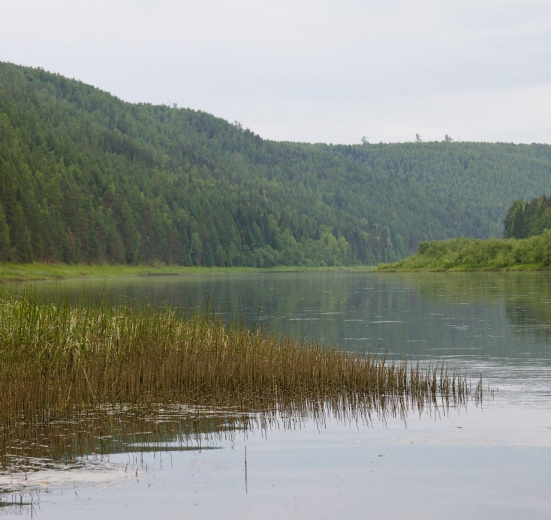По Лене на байдарках