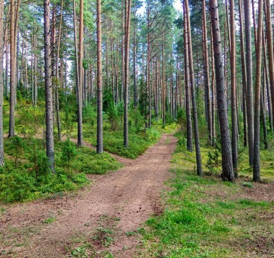 Подмосковье, Пеший поход «В заповедный уголок Селигера»