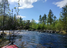 Карелия, Неизвестная Карелия: по рекам Мурашева и Гридина в Белое море