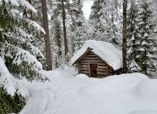 Карелия, Снегоходный тур в Национальном Парке "Паанаярви"