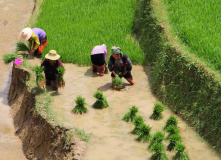 Индонезия, Большой тур по Индонезии: комфорт-тур