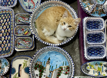 Тунис, Тунис: сквозь пески времени (разведка)