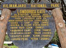 Танзания, Восхождение на Килиманджаро. Маршрут Лемошо