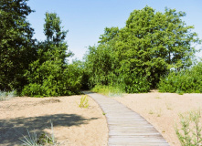 Северо-Запад, Форт "Риф" — Балтийская коса Финского залива (Кронштадт)