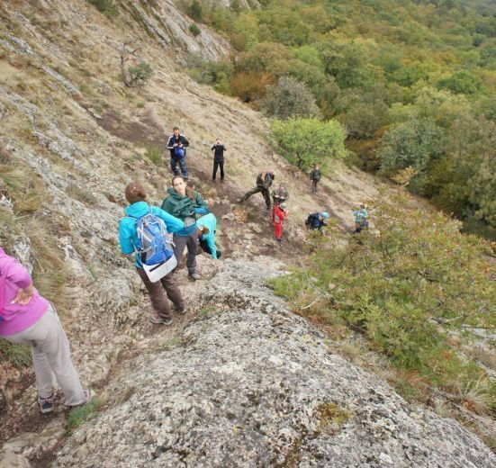 Горный Лагерь в Крыму: Дикий Мёд Бельбекской долины